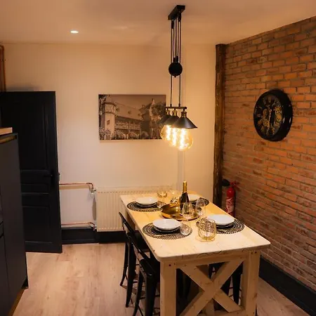 Edouard & Richard 公寓 科尔马