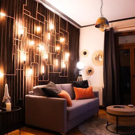 Edouard & Richard 公寓 科尔马